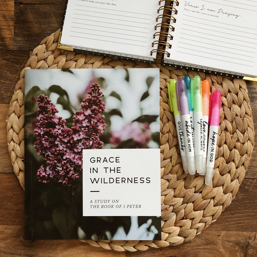 Grace in the Wilderness Bible Study