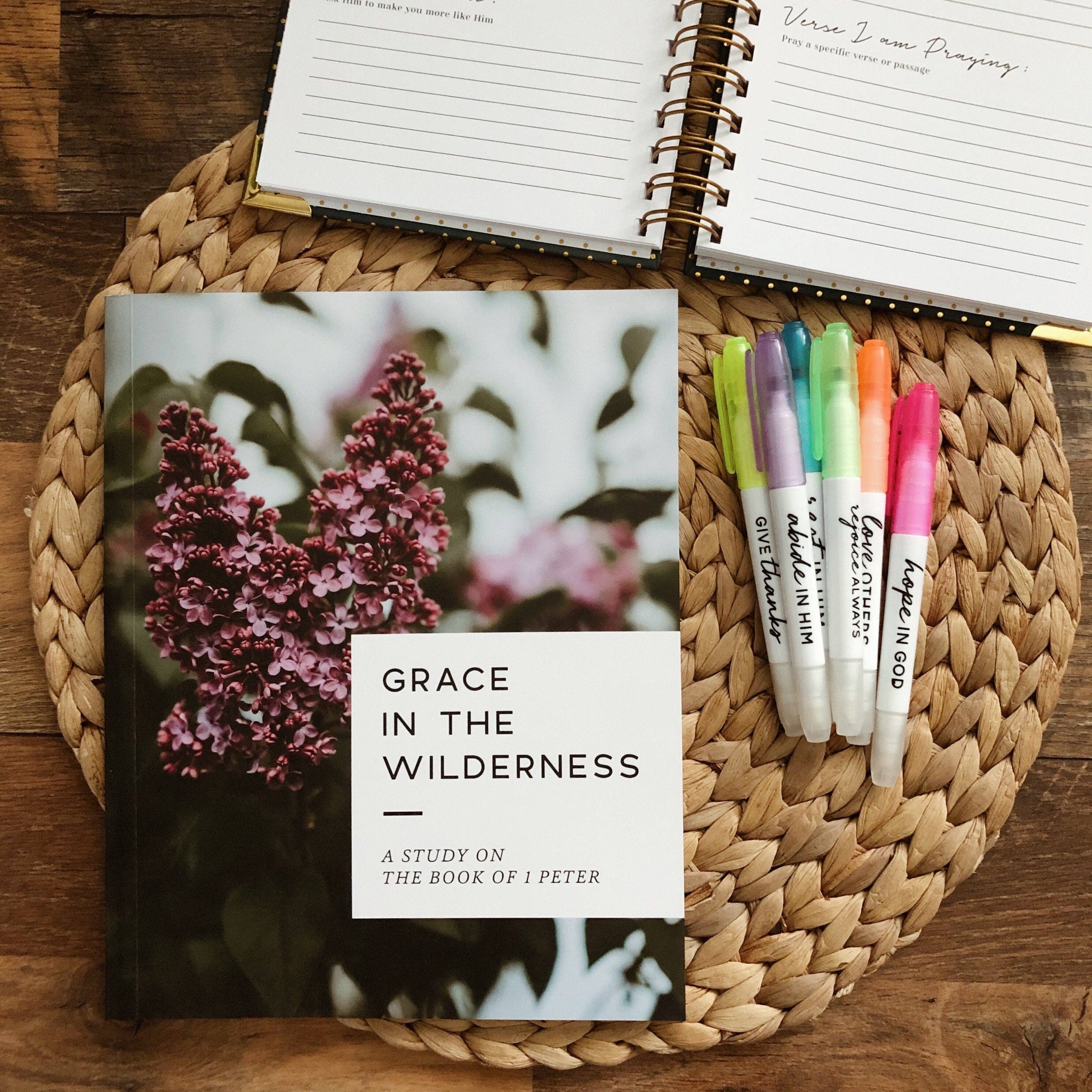 Grace in the Wilderness Bible Study