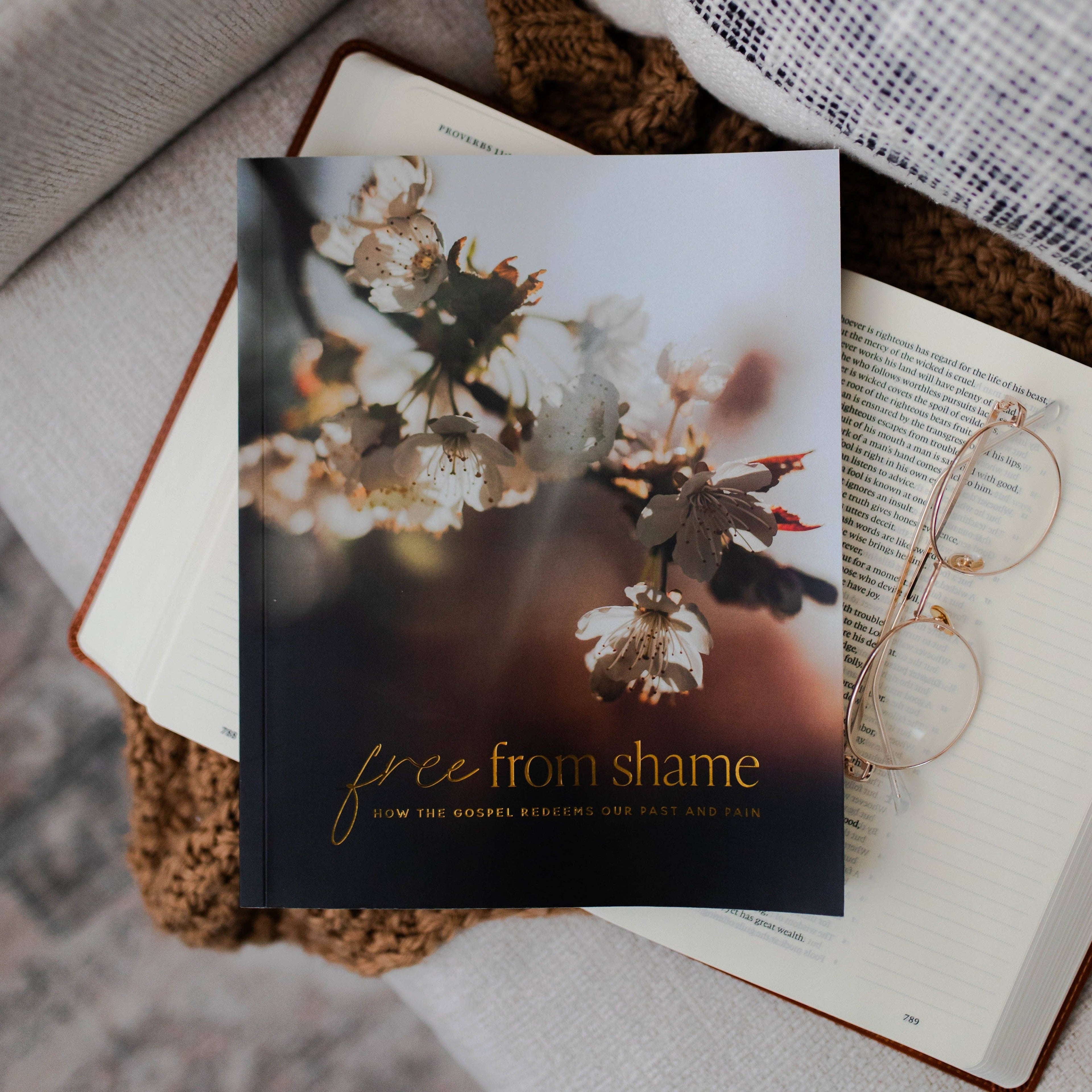 Free From Shame Bible Study