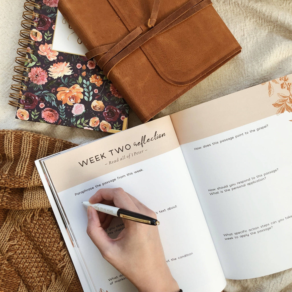 Grace in the Wilderness Bible Study