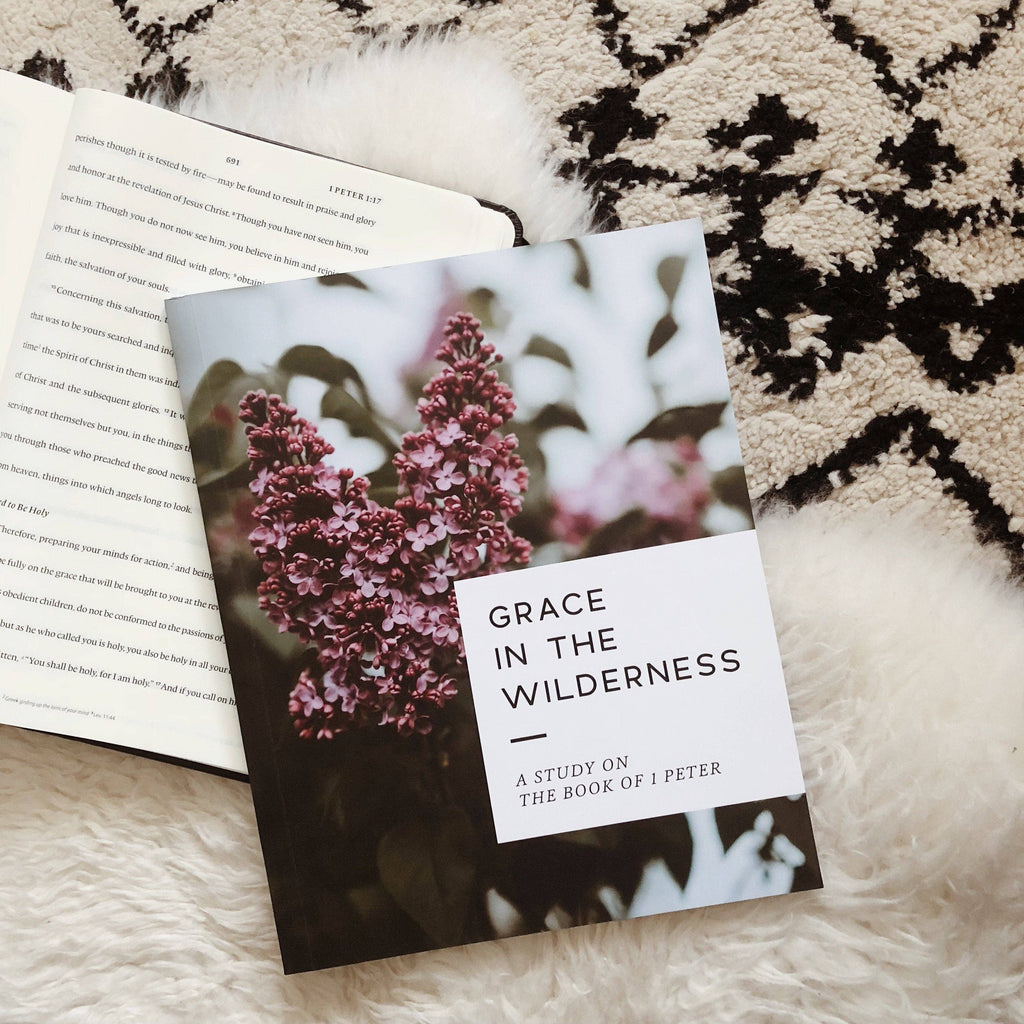 Grace in the Wilderness Bible Study