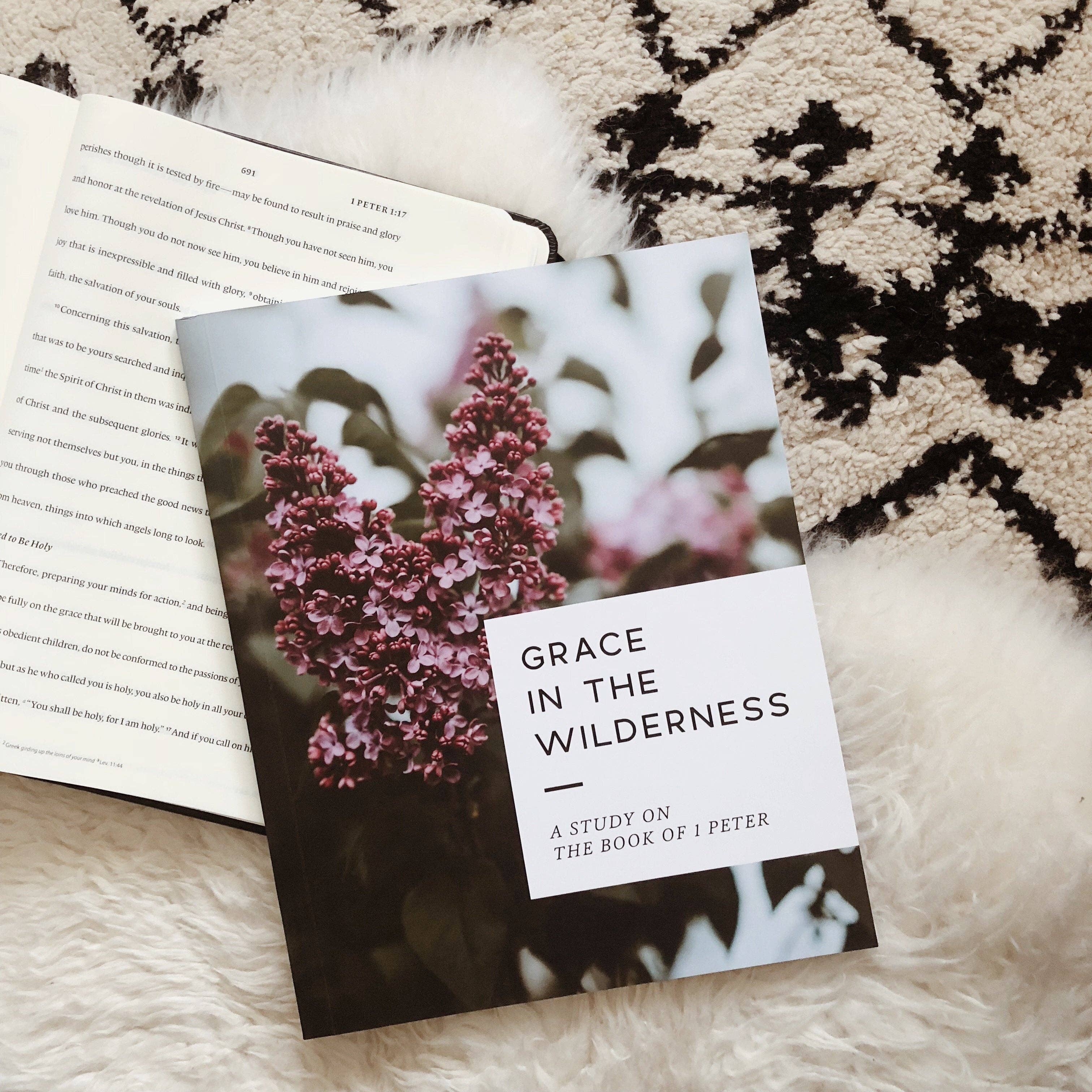 Grace in the Wilderness Bible Study