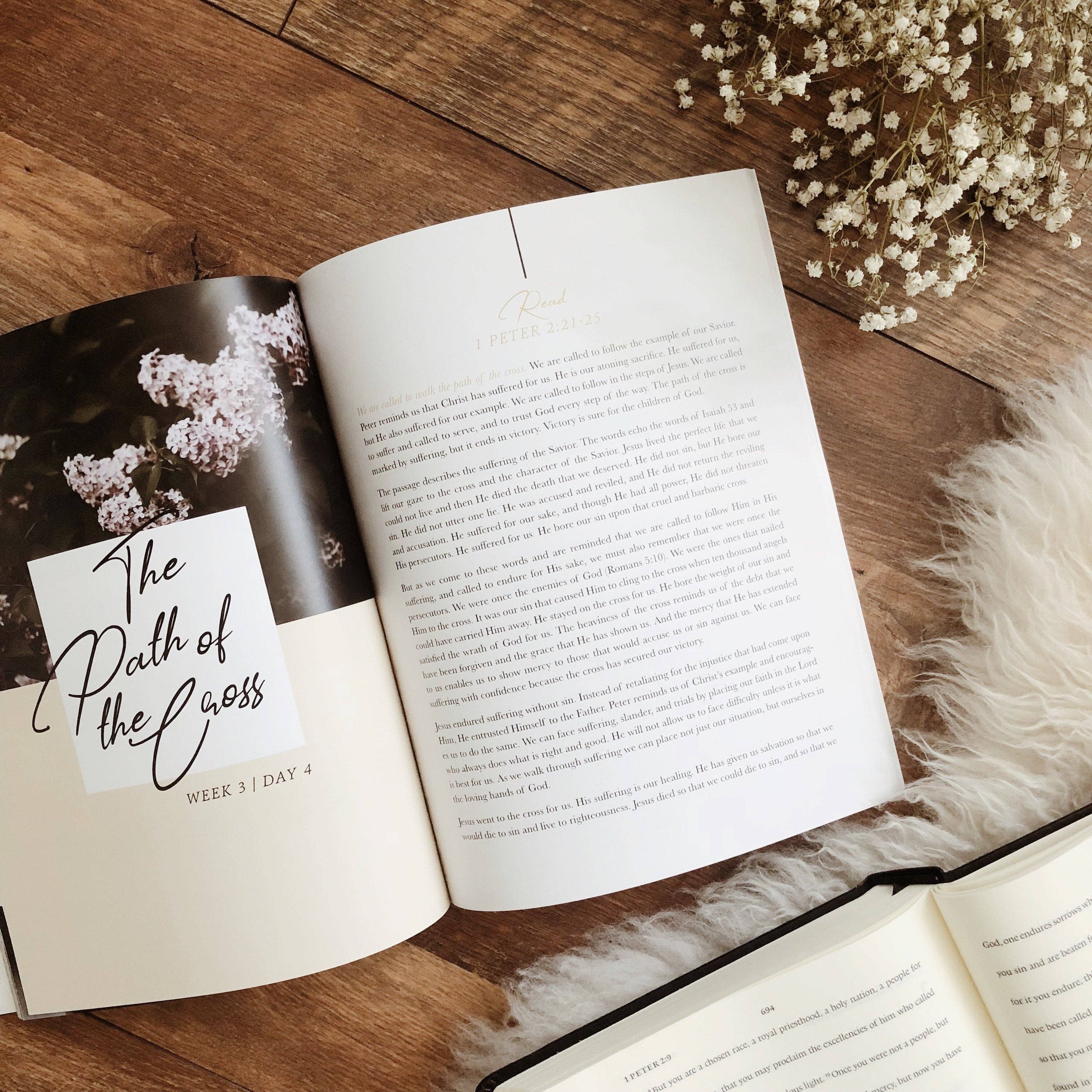 Grace in the Wilderness Bible Study
