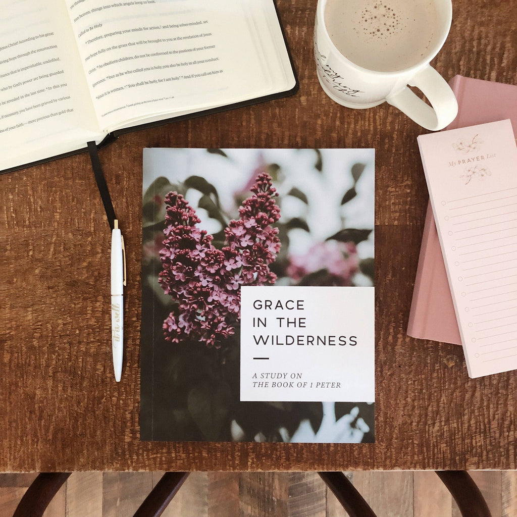 Grace in the Wilderness Bible Study