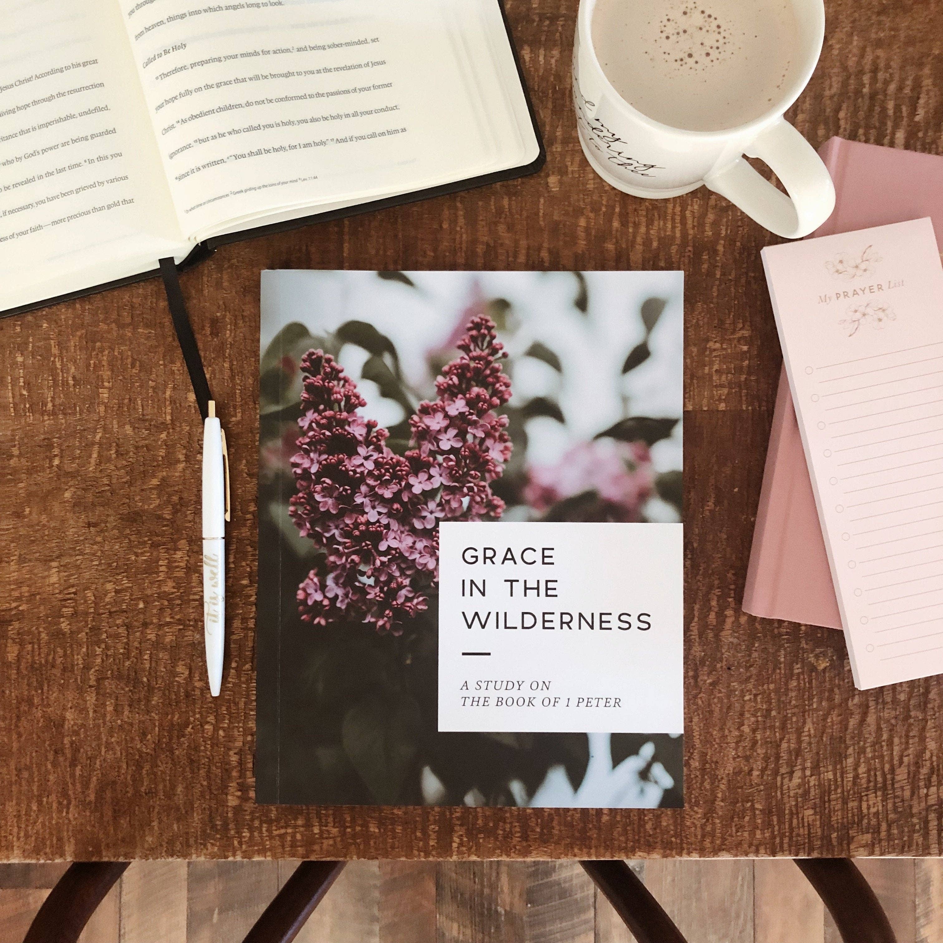 Grace in the Wilderness Bible Study