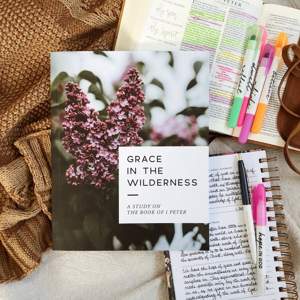 Grace in the Wilderness Bible Study