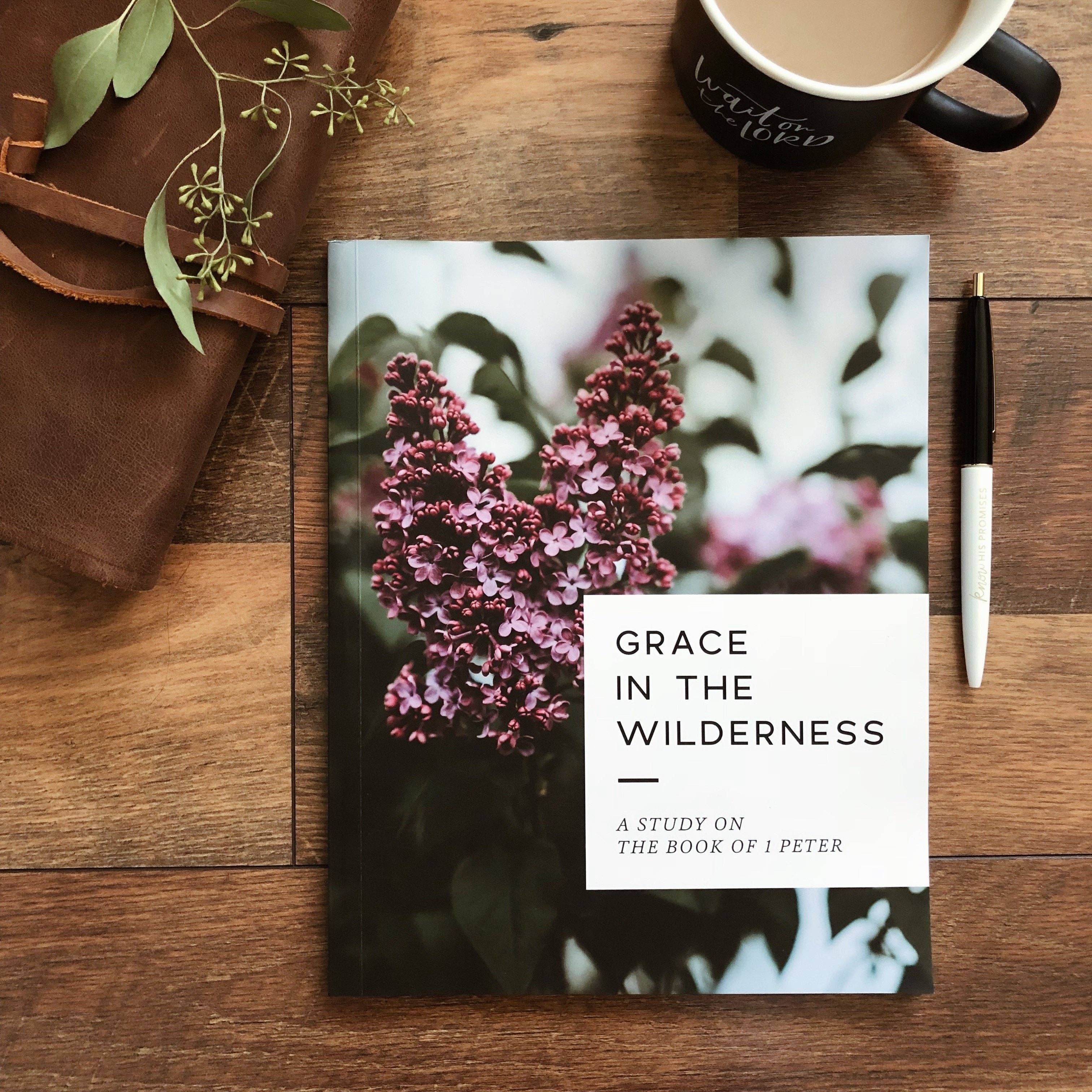 Grace in the Wilderness Bible Study
