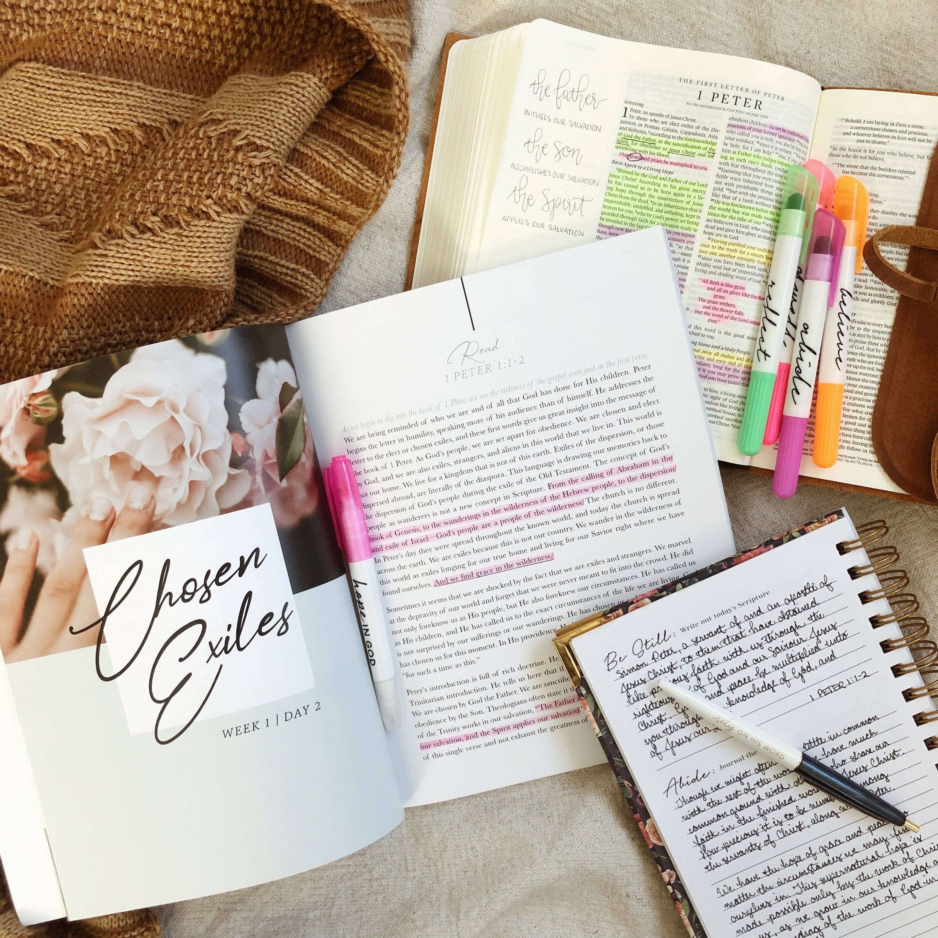 Grace in the Wilderness Bible Study