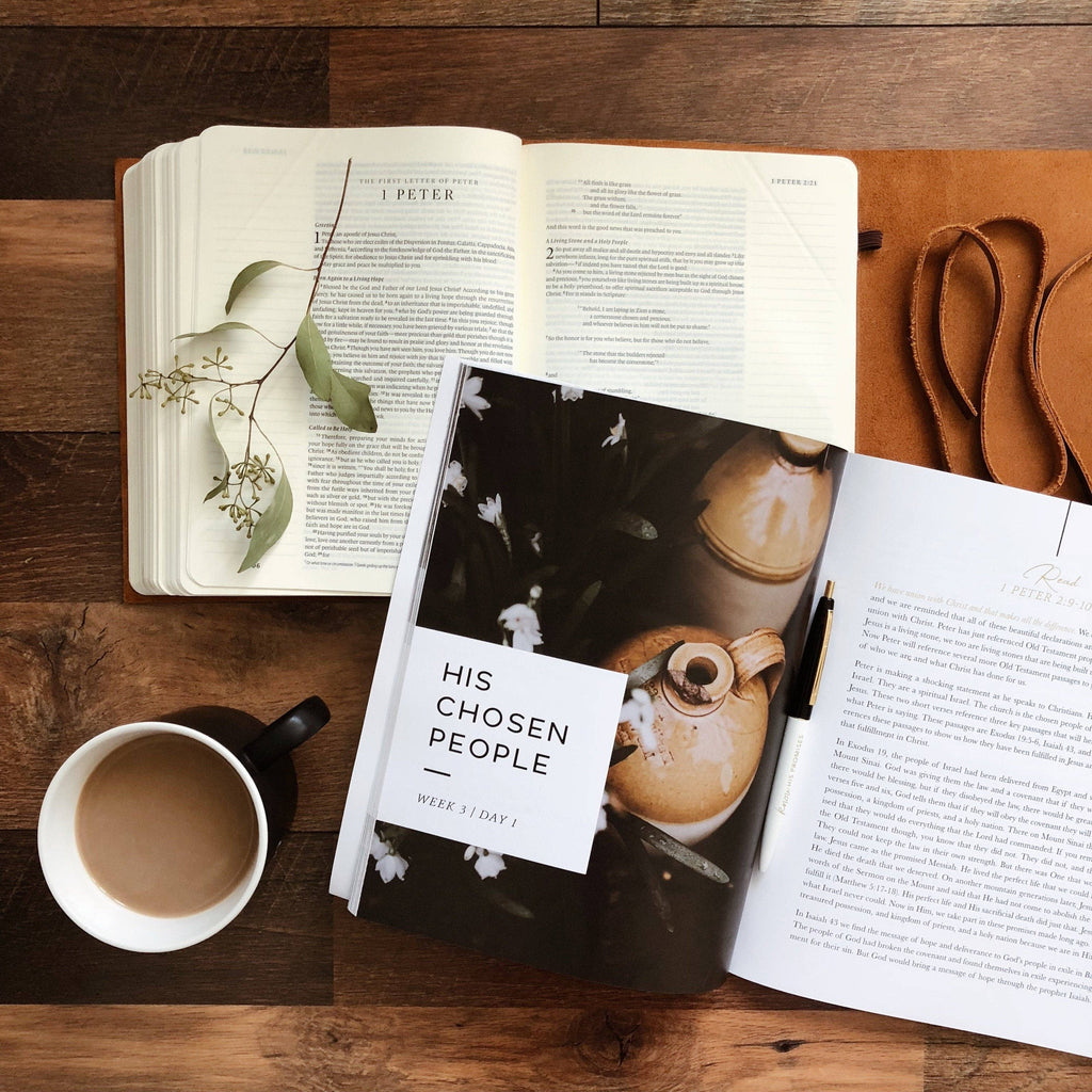 Grace in the Wilderness Bible Study