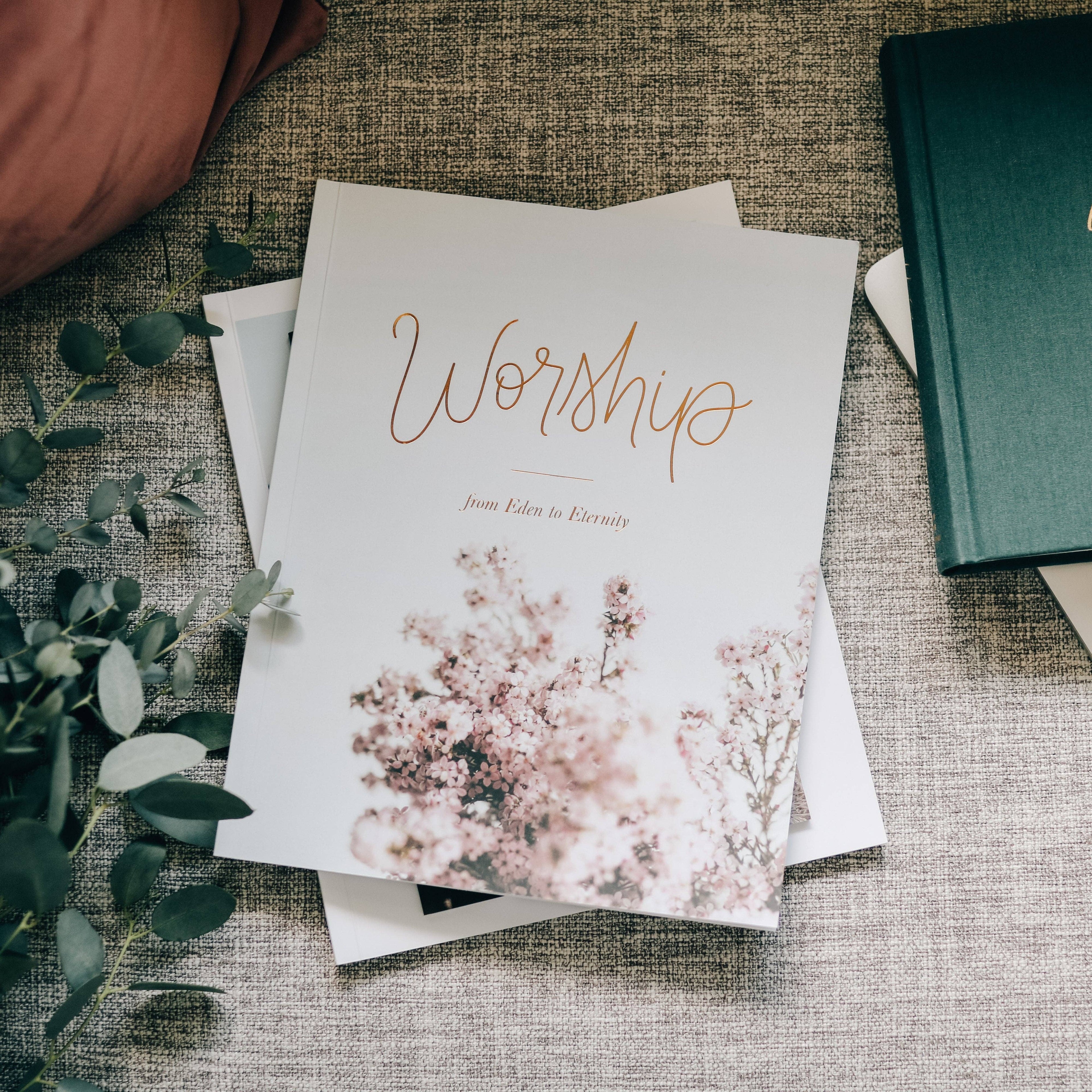 Worship Bible Study