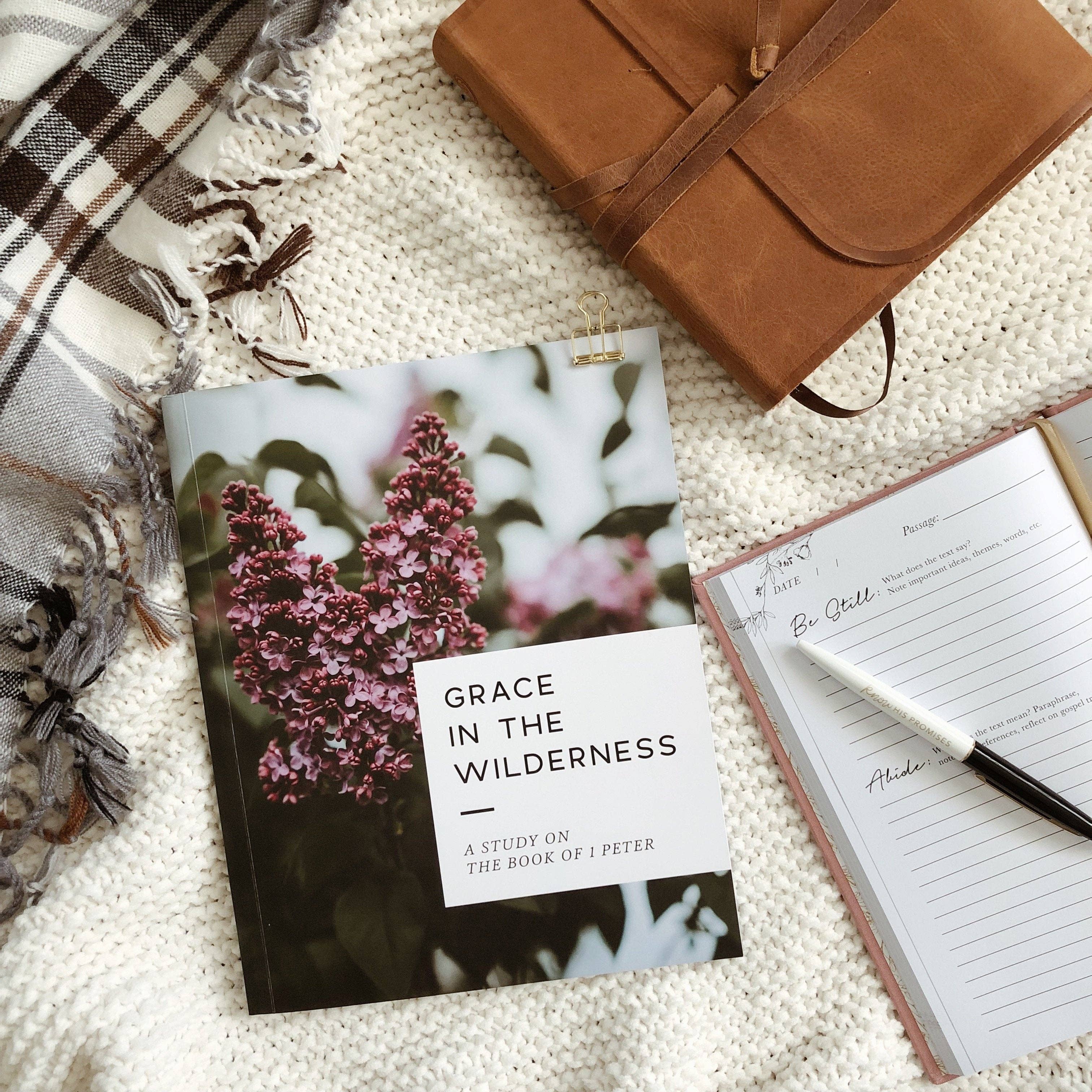 Grace in the Wilderness Bible Study