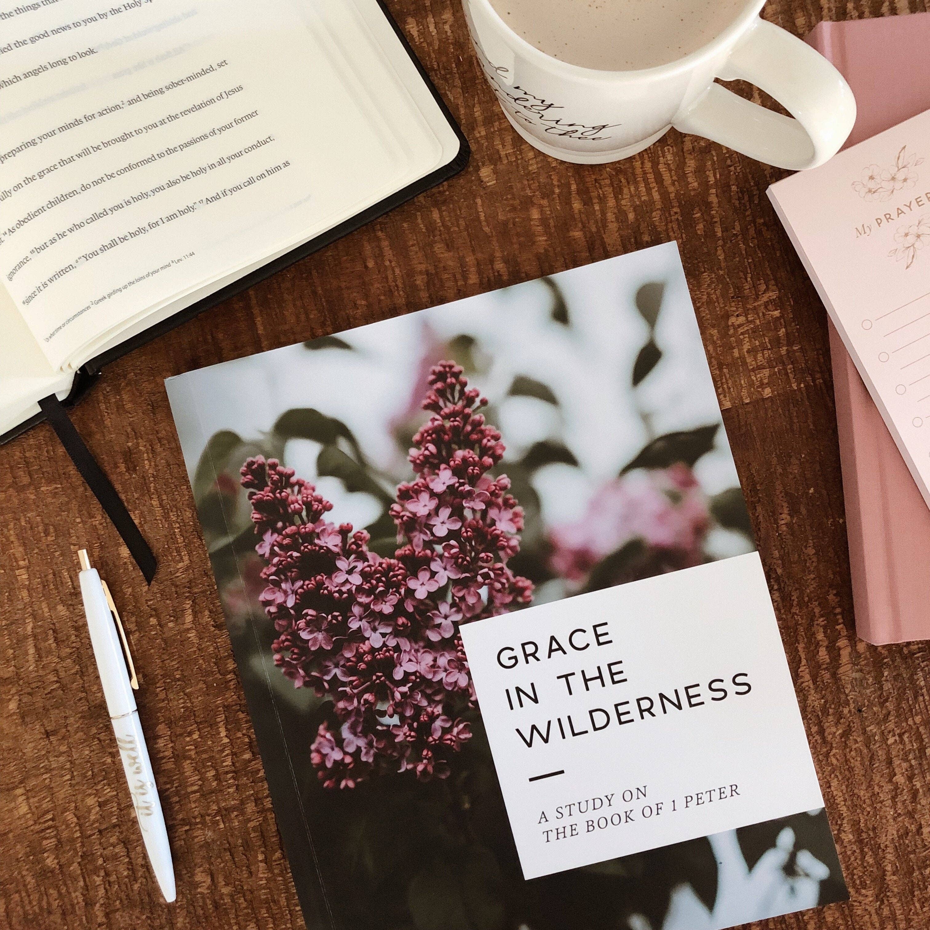Grace in the Wilderness Bible Study