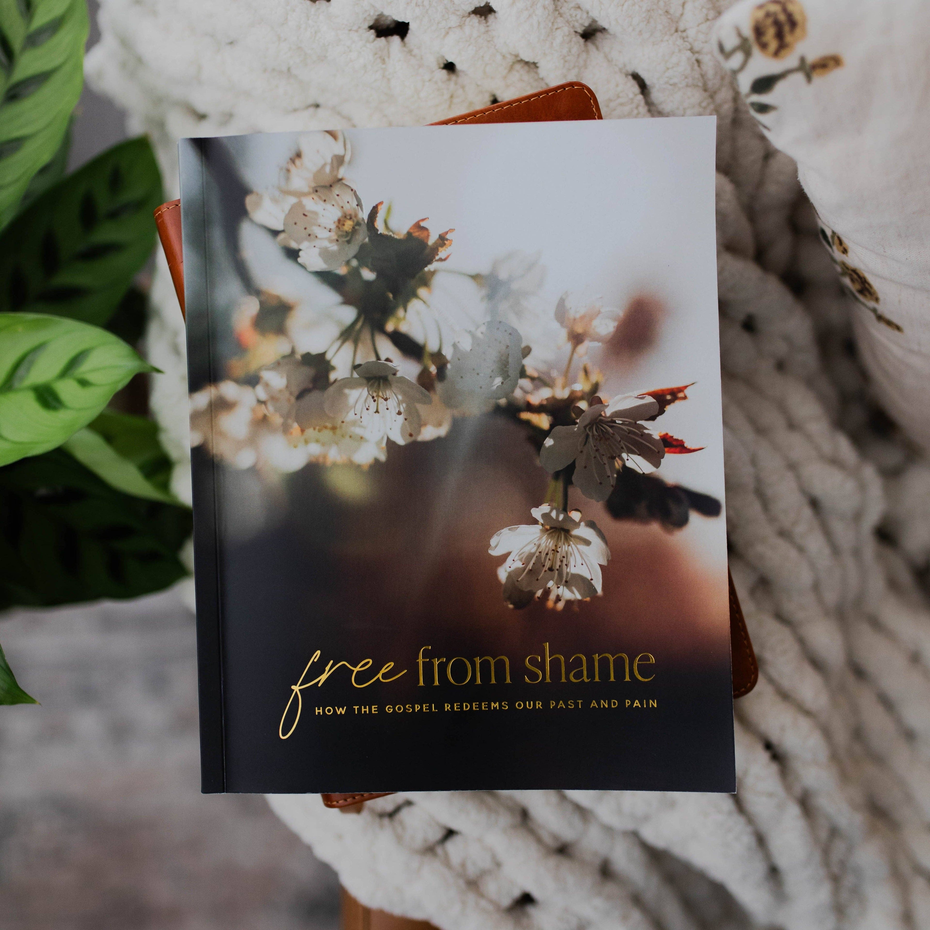 Free From Shame Bible Study