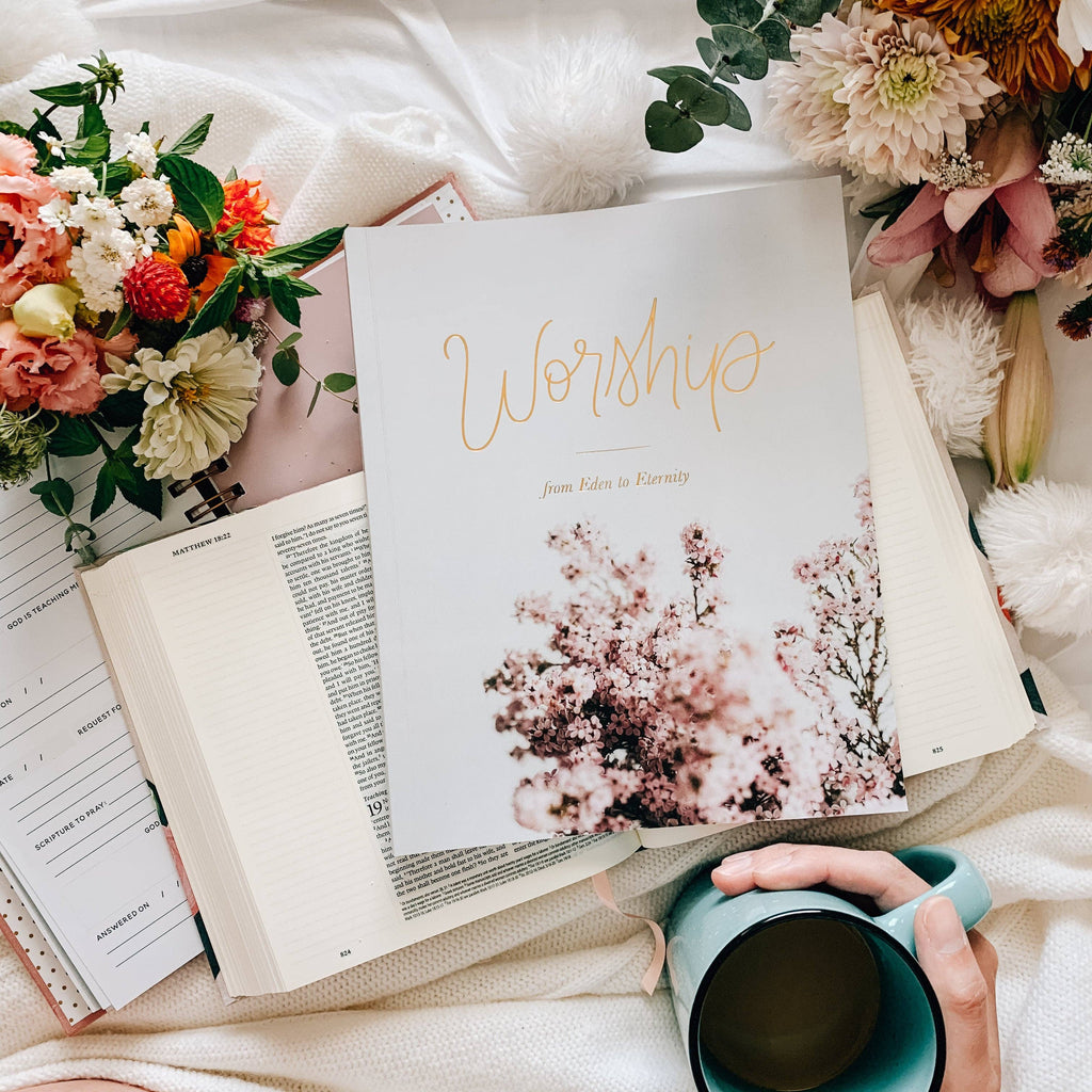 Worship Bible Study