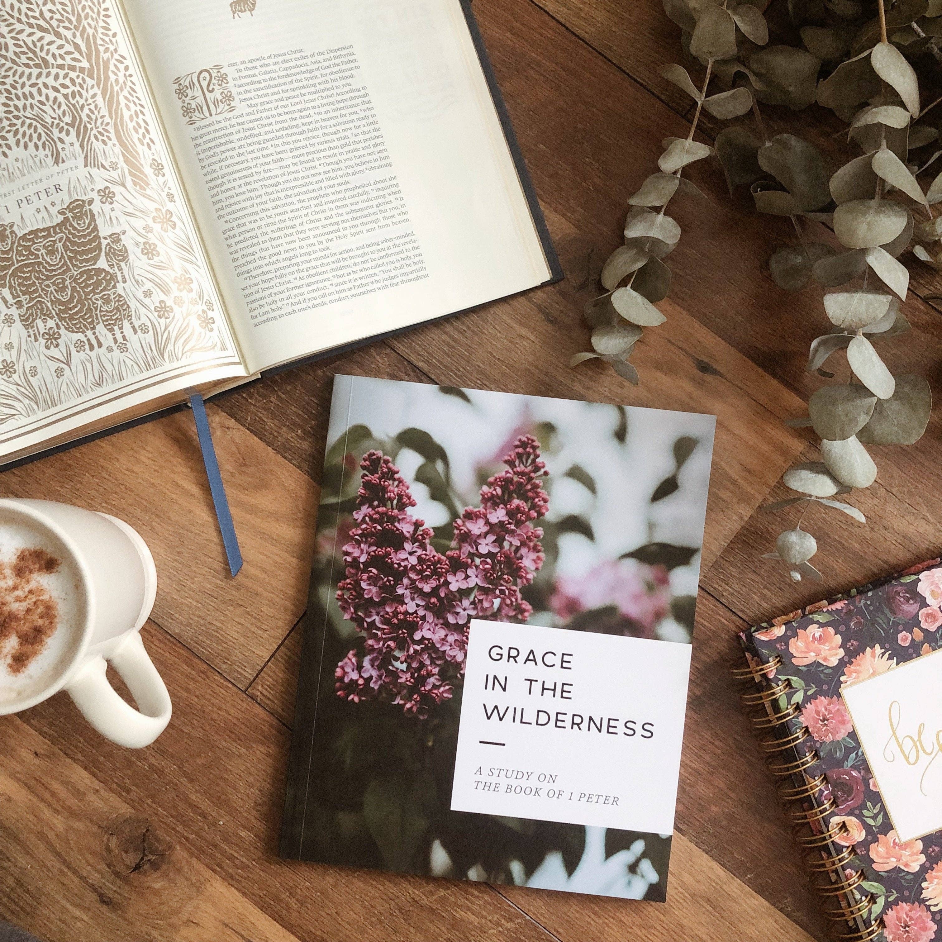 Grace in the Wilderness Bible Study
