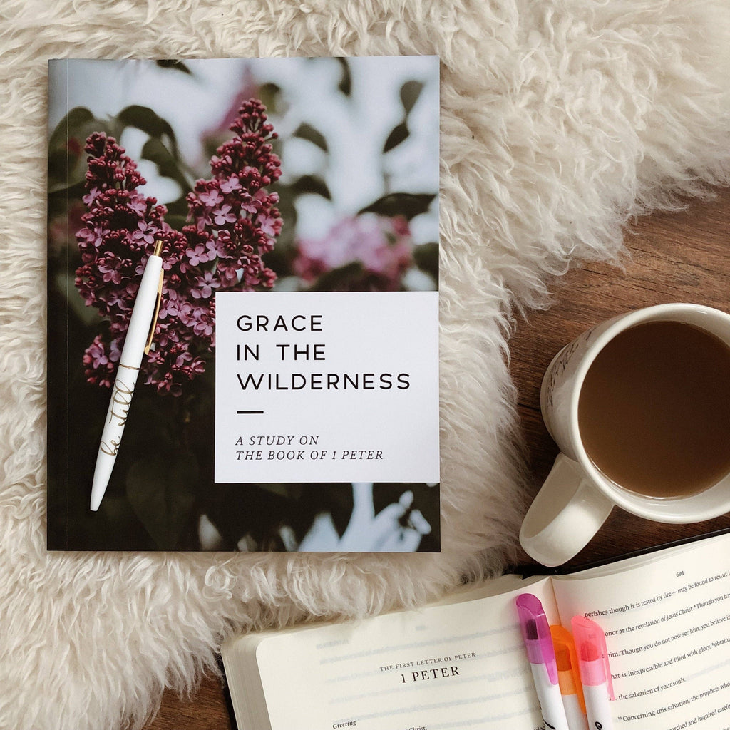 Grace in the Wilderness Bible Study