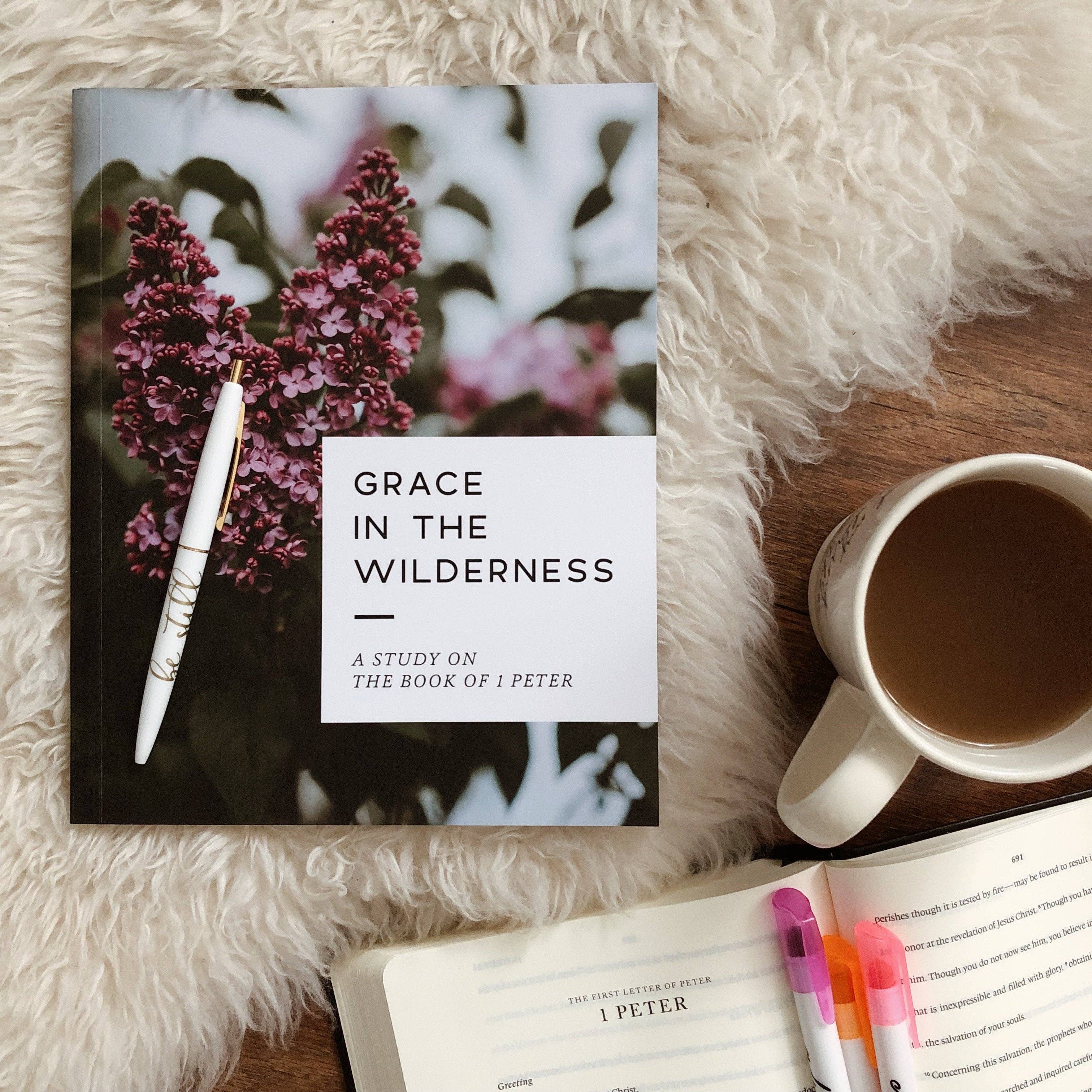 Grace in the Wilderness Bible Study